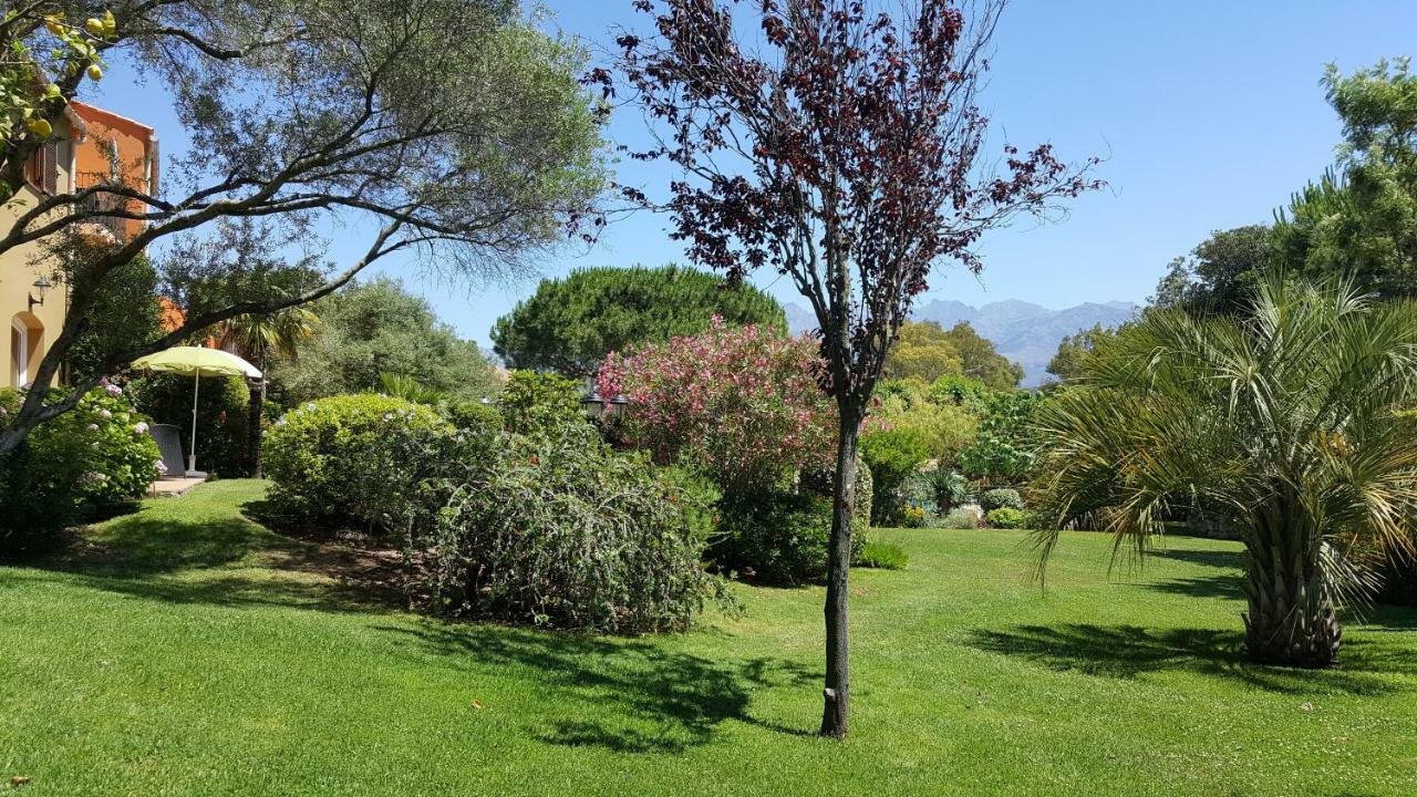 Résidence A Merula Calvi  Exterior foto